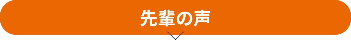 先輩社員の声